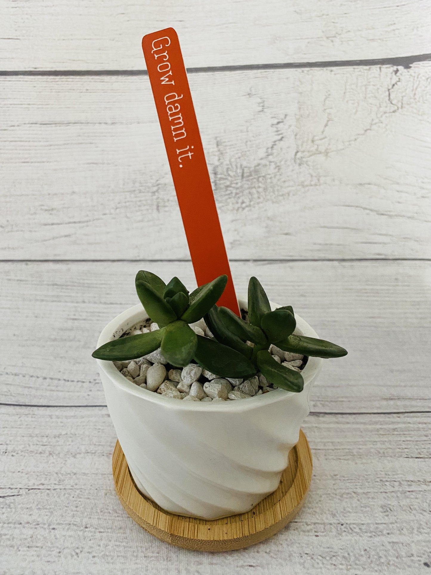 Funny Plant Stakes