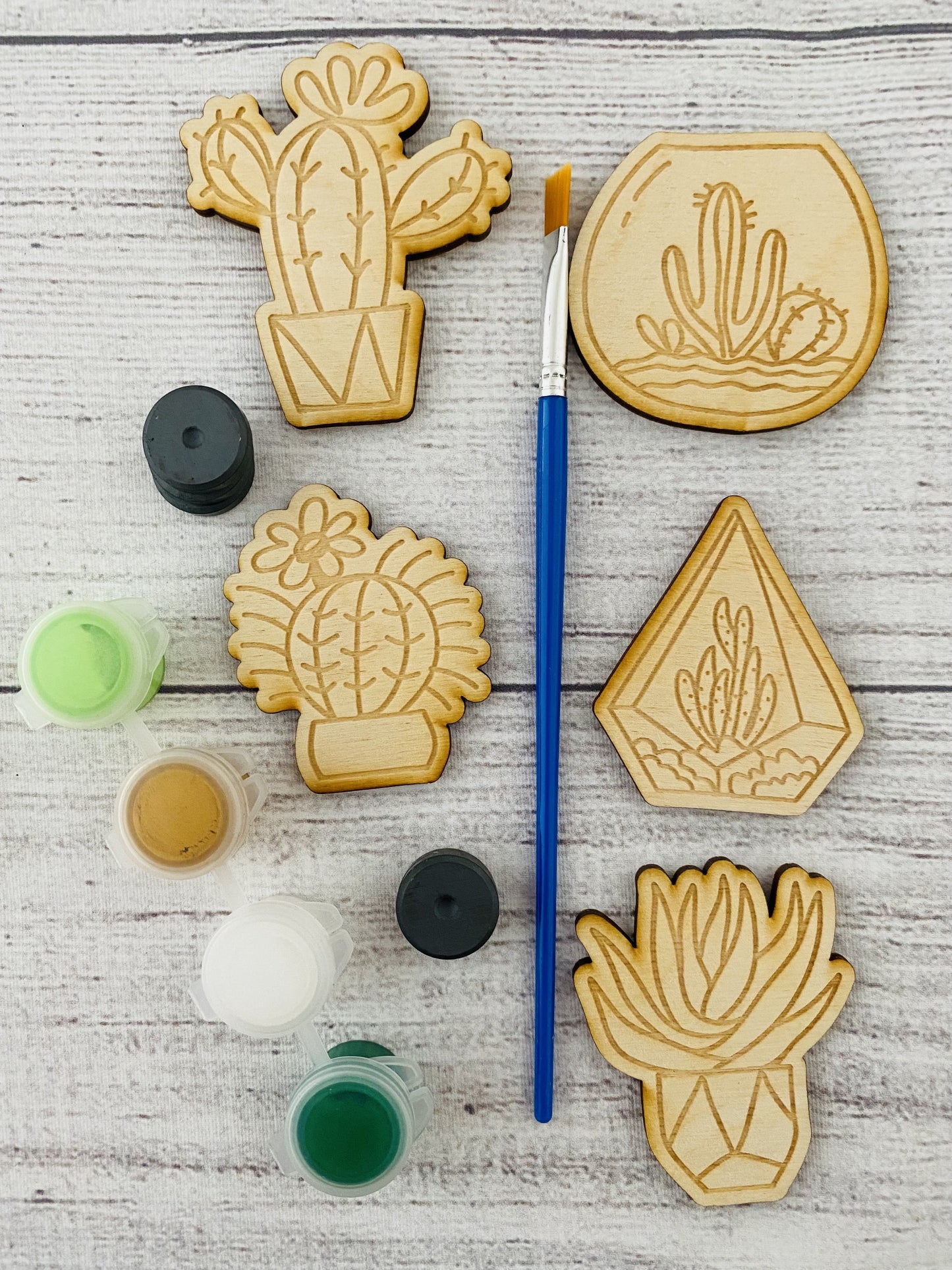 Succulent Magnet Paint Kit