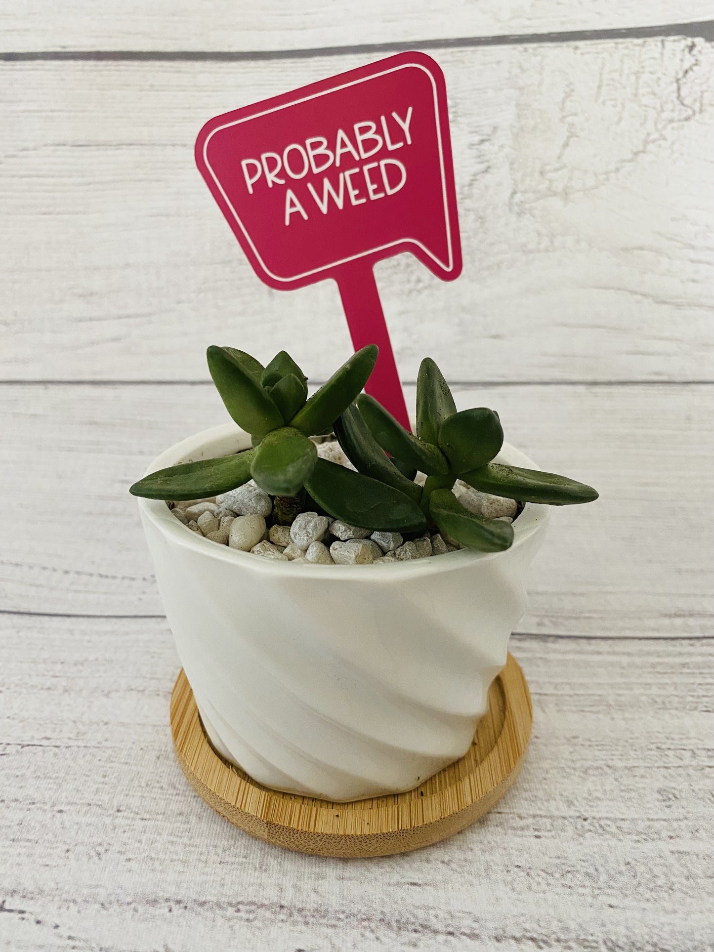 Funny Plant Stakes