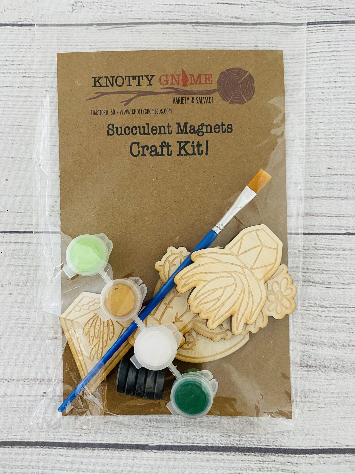 Succulent Magnet Paint Kit