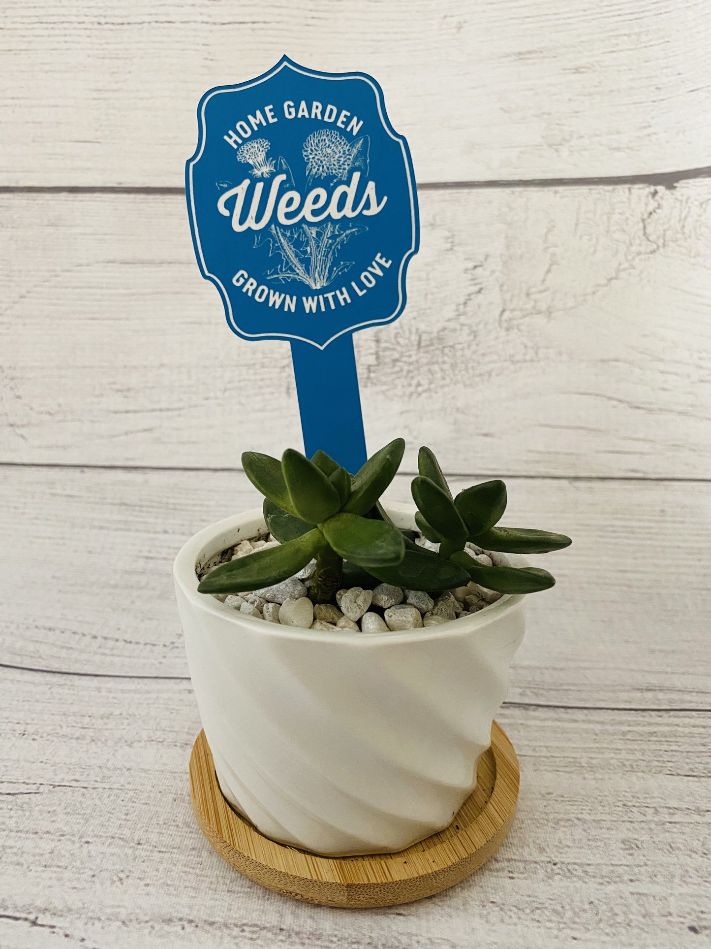 Funny Plant Stakes